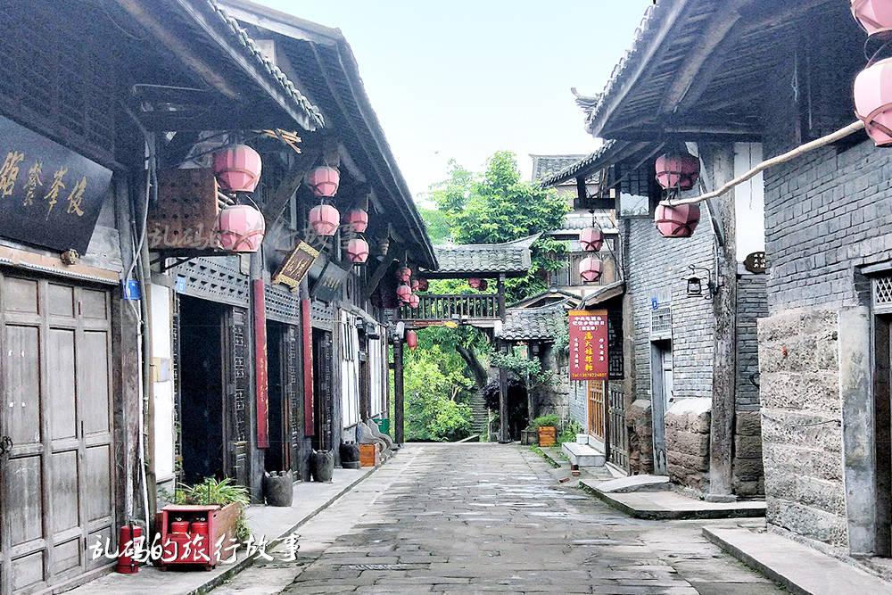 救援男孩与狗